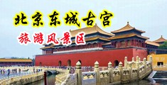 操逼不卡视频网站中国北京-东城古宫旅游风景区